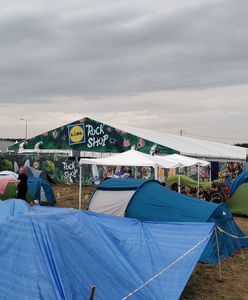 Lidl na Pol'and'Rock sprzedał 12 ton bananów i 700 tys. sztuk pieczywa