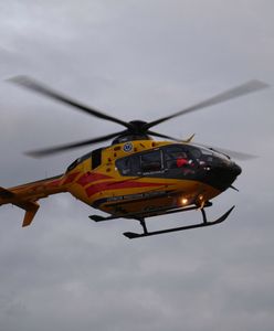 Słubice. Nastolatkowi wybuchła petarda w ręce. Dziecko straciło dłoń