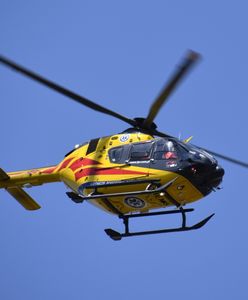 Strzelce Małe. Byk przygniótł mężczyznę. Mimo 40 minutowej reanimacji 68-latek zmarł