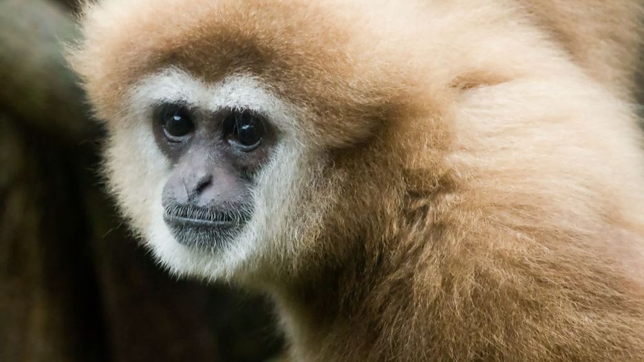 Od 2011 roku Marcin i Katarzyna P. przekazali zoo ponad 1,6 mln zł