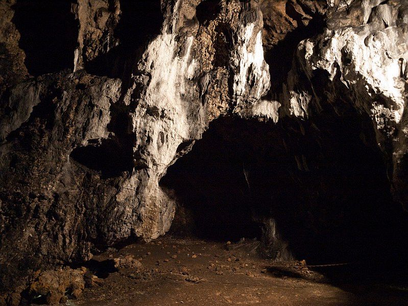 Jaskinia Łokietka 