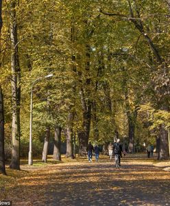 Prognoza pogody na dziś - 30 października. Ciepło w całym kraju. Temperatura jak na wiosnę