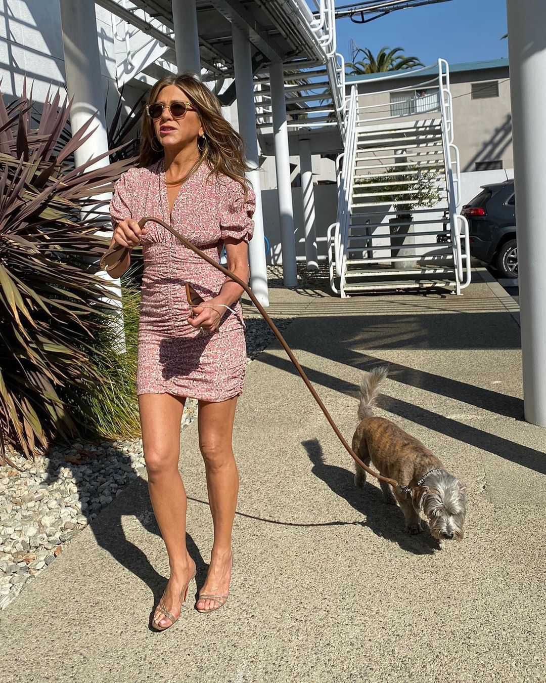 Jennifer Aniston i jej pies