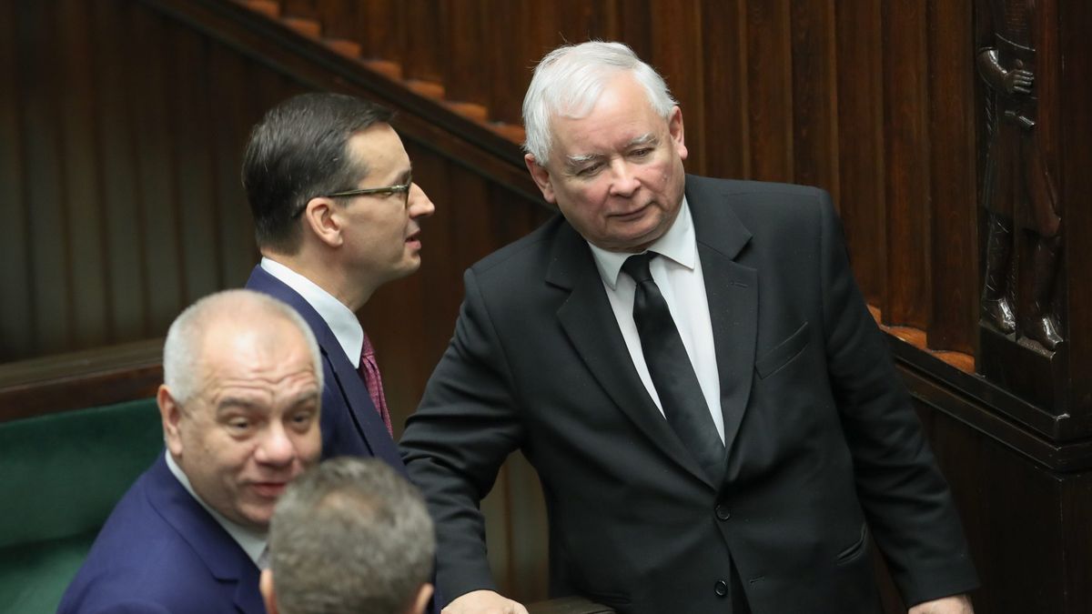 jarosław kaczyński pis tomasz zimoch