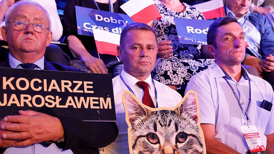 O zamiłowaniu prezesa PiS Jarosława Kaczyńskiego do kotów wiadomo nie od dziś