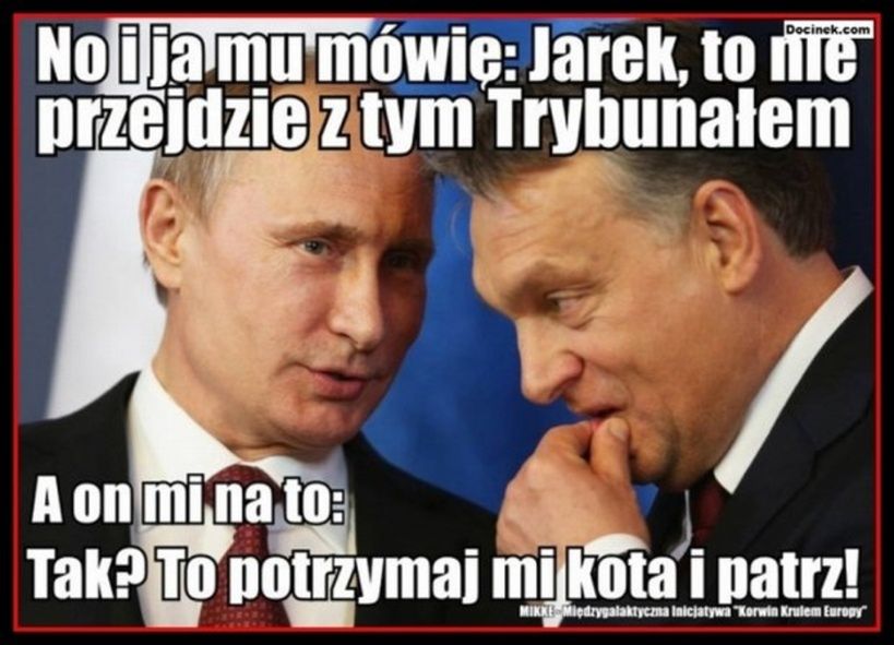 Ja nie mogę?