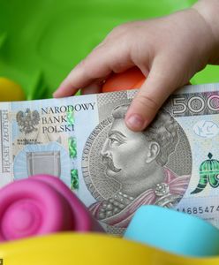 Oszustwo na "500 plus". Fałszywe oferty pomocy przy złożeniu wniosku