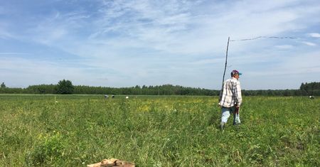 Dziadek Bogumił od truskawek. Życie go nie rozpieszczało, odnalazł szczęście