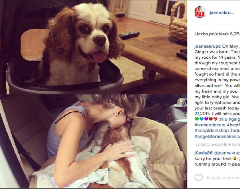 Joanna Krupa żegna swojego psa