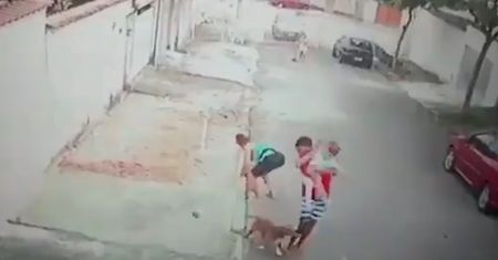 Dziecko zaatakował pitbull. W ostatniej chwili zdarzył się cud