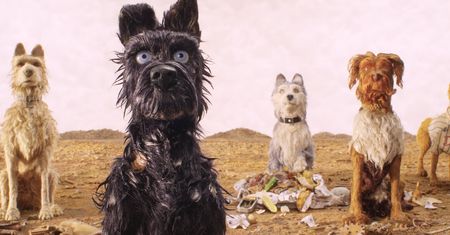 "Wyspa psów": nowy film Wesa Andersona zasługiwał na więcej [RECENZJA BLU-RAY]