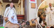 Na msze przyprowadza bezpańskie psy i zachęca do ich adopcji. Ksiądz z niecodzienną inicjatywą