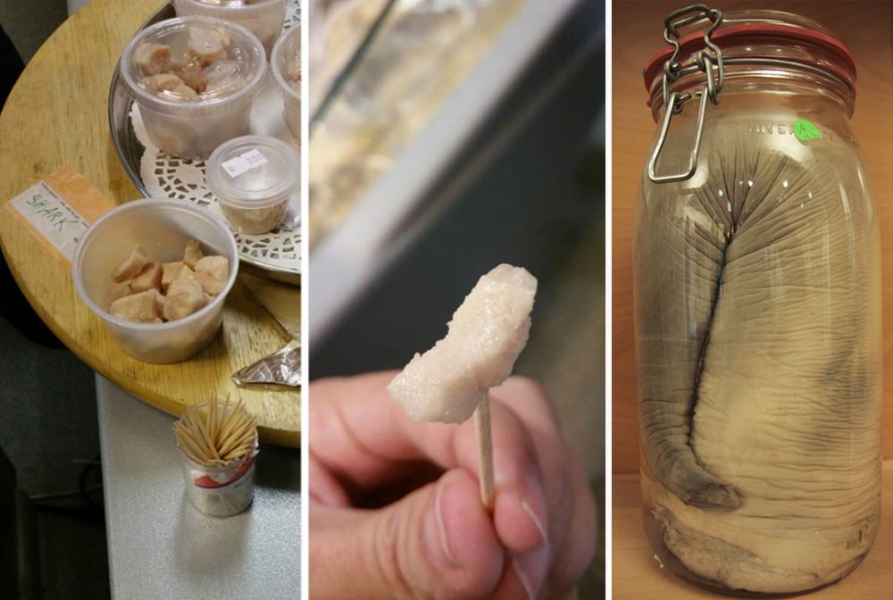 Myślicie o wypadzie na Islandię? To was przekona