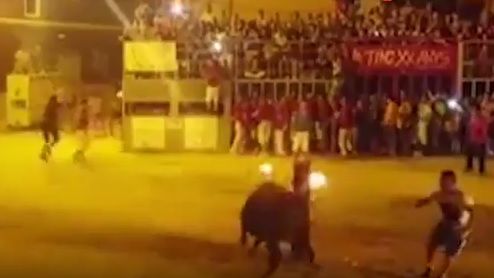 Samobójstwo byka w Fois