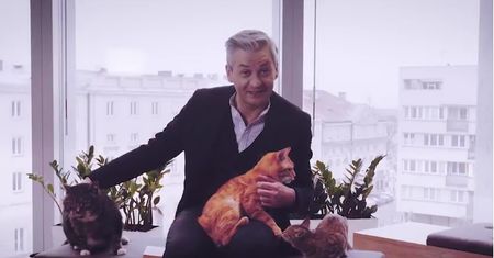 "Koty ocieplające wizerunek i te gorszego sortu". Biedroń namawia do kociej adopcji
