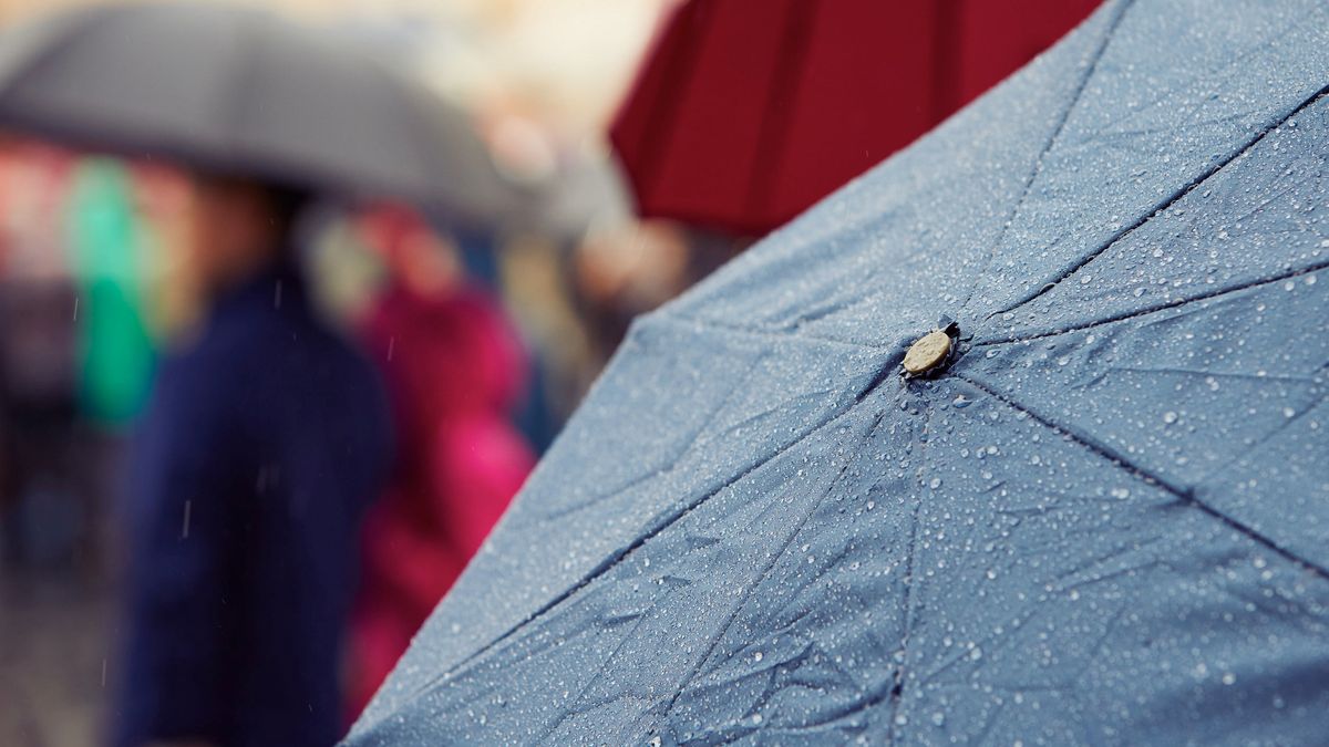 Fizyk atmosfery Szymon Malinowski zapowiada zmiany w porach roku w Polsce