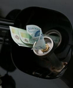 Jeżdżąc samochodem z instalacją LPG, można sporo zaoszczędzić. Warunek: dobra jakość i właściwy montaż