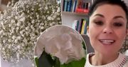 Kasia Cichopek wpuściła fanów do mieszkania: "Moje życie jest bajkowe". Pięknie nakryty stół daje do myślenia