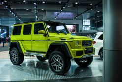 Poznań Motor Show 2017 - zobacz SUV-y i samochody terenowe