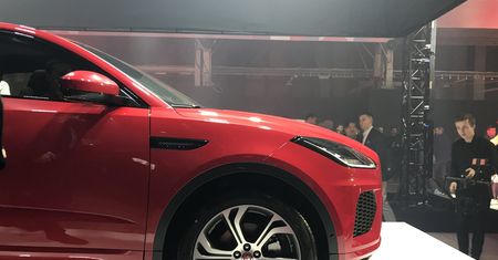 Mały Jaguar bryluje w mediach społecznościowych. Ambasadorką Małgorzata Socha