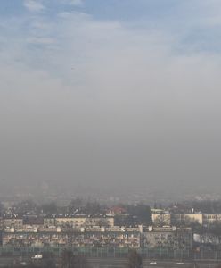 Smog Kraków - 10 grudnia