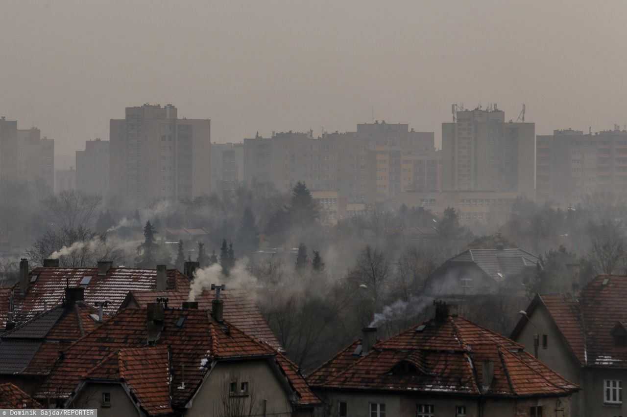 Rybnik. Księża odczytują apel antysmogowy w kościołach. "Wzywa nas Franciszek i przykazanie"