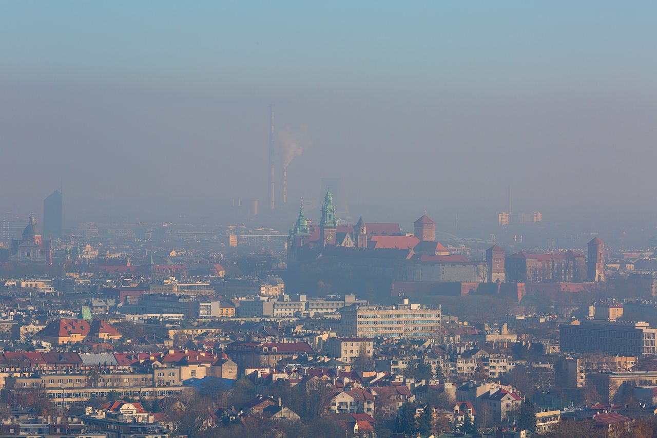 Polacy masowo umierają. Książka o smogu pokazuje, dlaczego tak się dzieje