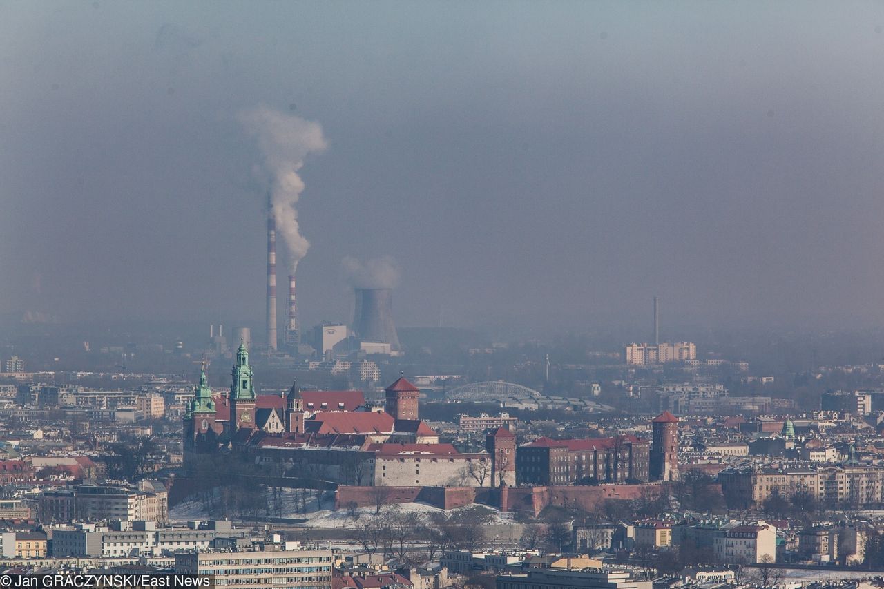 Smog Kraków - 12 grudnia