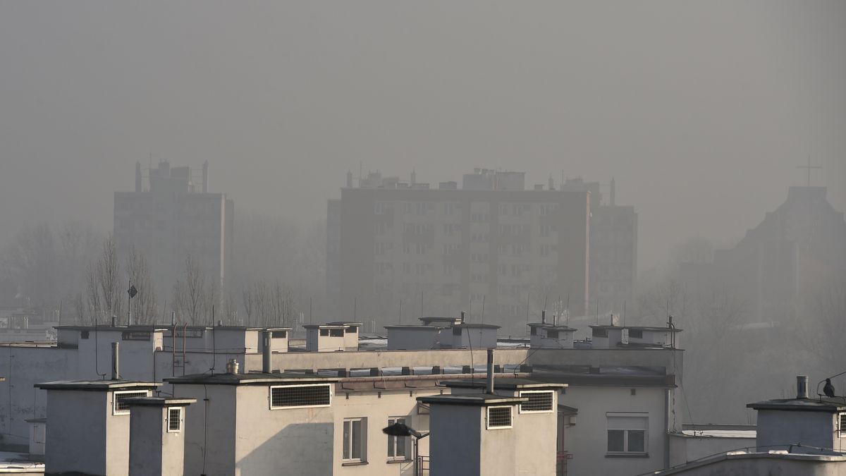 Program "Czyste powietrze". Jak złożyć wniosek, ile można dostać i kiedy będą pieniądze? 