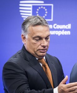 Niemiecki dziennik: Orban pierwszym wyzwaniem dla Tuska jako szefa EPL