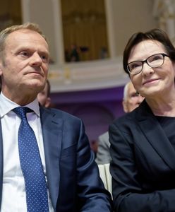 Donald Tusk i Ewa Kopacz przed Trybunałem Stanu? Polityk PiS szacuje szanse