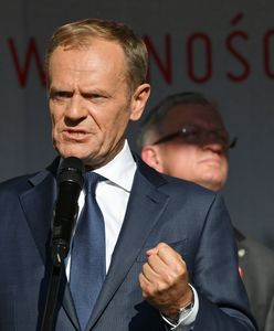 TYLKO w WP. Jak "ugryźć" PiS w wyborach? Tylko jedna opcja daje opozycji niewielką szansę (Badanie)