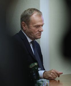 Kulisy przesłuchania Tuska ws. Amber Gold. Szef RE naradzał się z Giertychem w "pieczarze" Schetyny