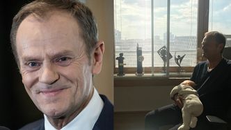 Donald Tusk w "DD TVN" ocenia program 500+: "Trzeba mądrzej wydawać pieniądze"