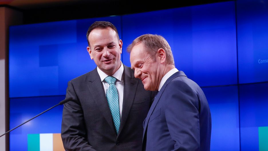 Donald Tusk podczas spotkania z premierem Irlandii Leo Varadkarem