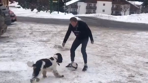 Donald Tusk bawi się z psem Portosem