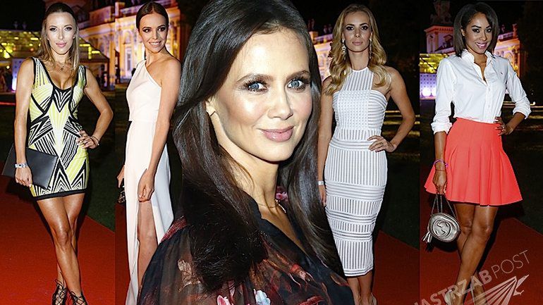 Gwiazdy na 10-leciu Dzień Dobry TVN