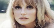50. rocznica brutalnego morderstwa Sharon Tate i jej przyjaciół