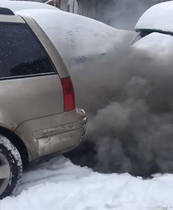 Zobacz, jak wygląda rozruch diesla przy -31 stopniach. Nie chcesz tego wdychać