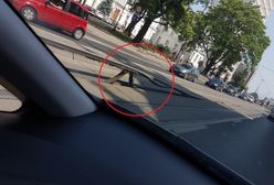 Wygięte tory w Bydgoszczy. To przez upał