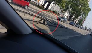 Wygięte tory w Bydgoszczy. To przez upał