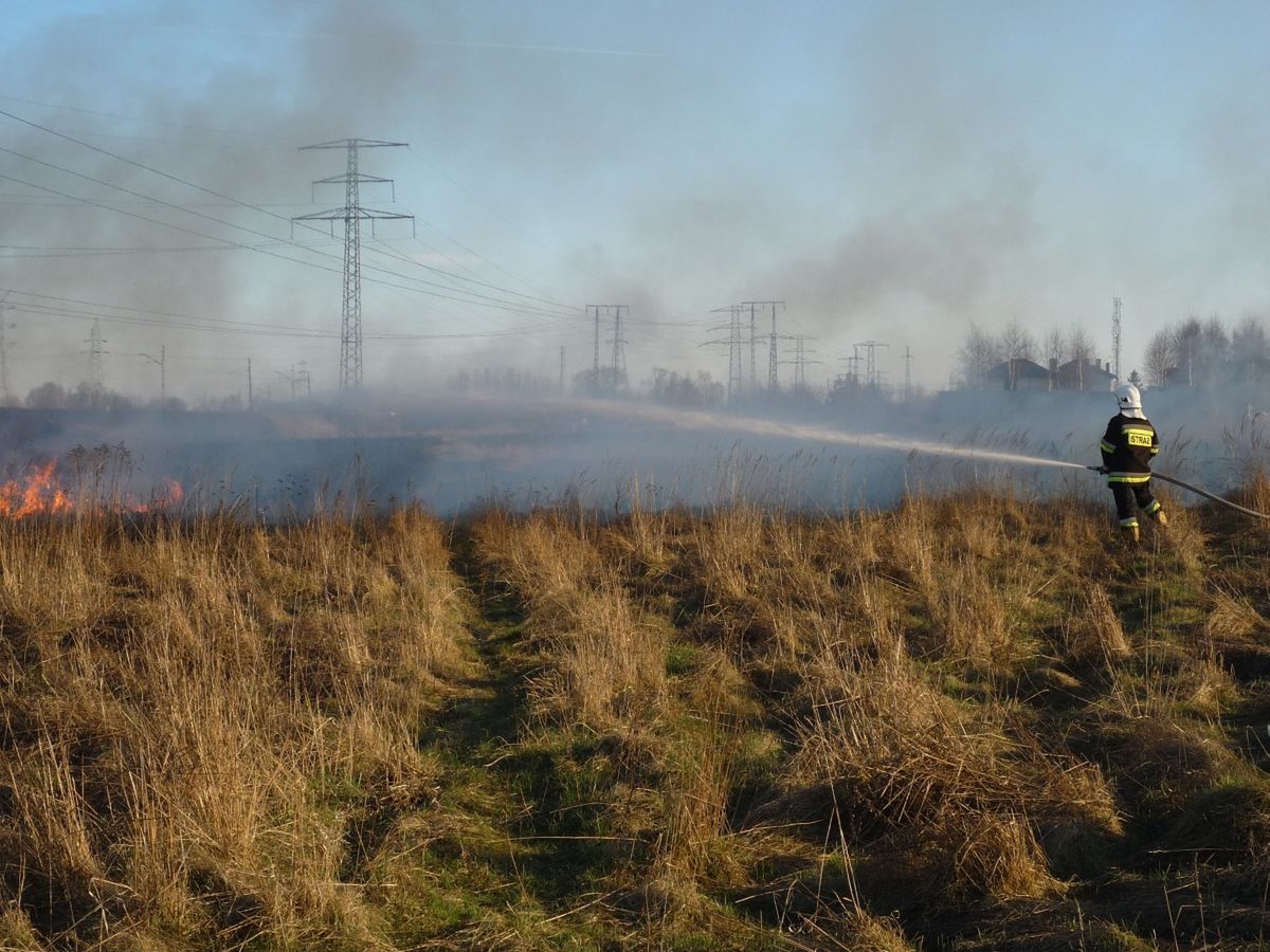 Wiosna trwa dopiero kilka dni. A strażacy już walczą z pożarami traw