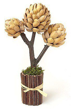 Pistachios Shell Tree