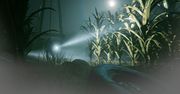 Outlast 2 - recenzja. Maraton krzyżowy