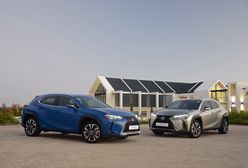 Hybryda, czyli nie tak drogo, jak myślisz