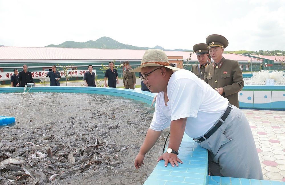 Kim sprawdza zbiorniki rybne