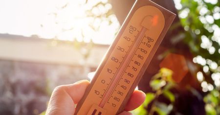 Zawieś w oknie. Obniżysz temperaturę nie wydając ani złotówki na klimatyzację