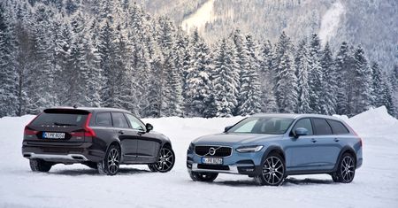 "Wypożyczalnia choinek Volvo" – ciesz się, pielęgnuj i zwróć naturze