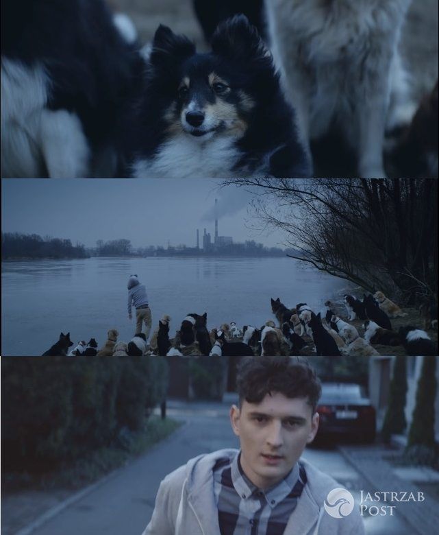 Dawid Podsiadło, kadr z teledysku Forest