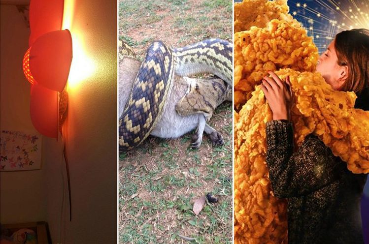 Rok się dopiero zaczął, a tam już takie rzeczy